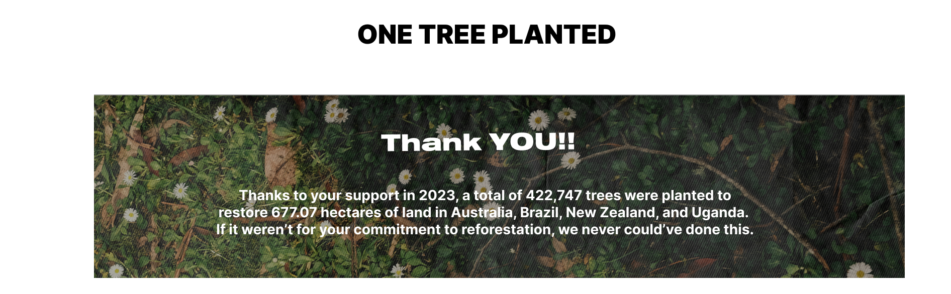 One Tree Planted - Shop to support!